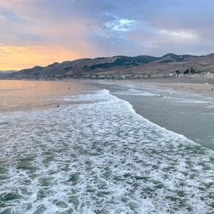 Meet your Posher, Savannah